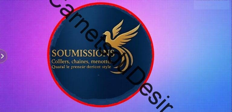 logo 1 image mise en avant article